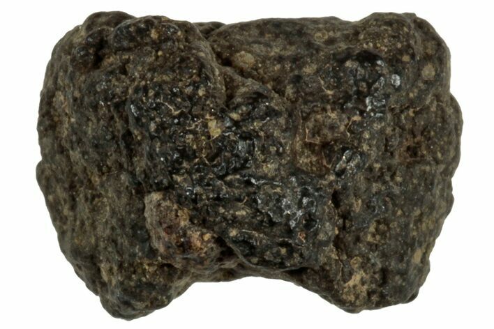Abadla CM Chondrite Meteorite ( g) - Algeria #313088